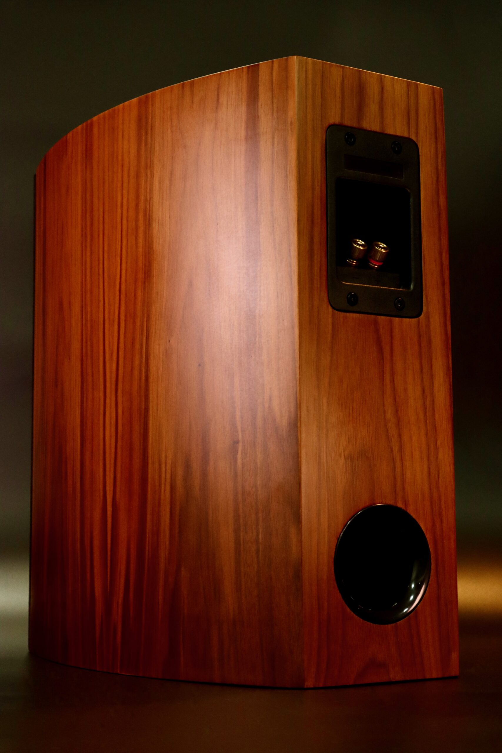 Large Volume Bass Reflex Housing